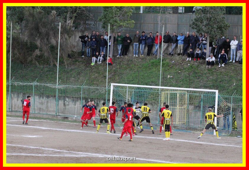 181111 Cepha_Milazzo 288_tn.JPG